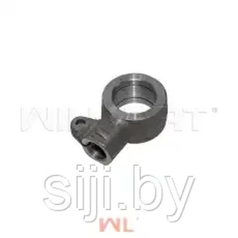 Проушина ЦН CPCD40-50 R45M300-600004