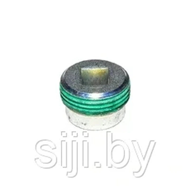 Заглушка блока резьбовая 4TNE92-98 171051-01921